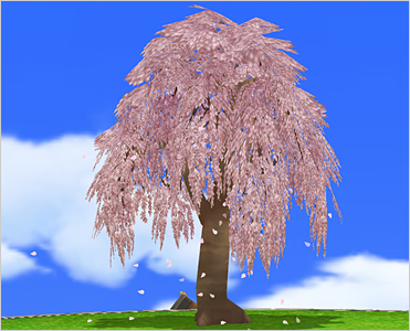 Weeping Cherry Tree